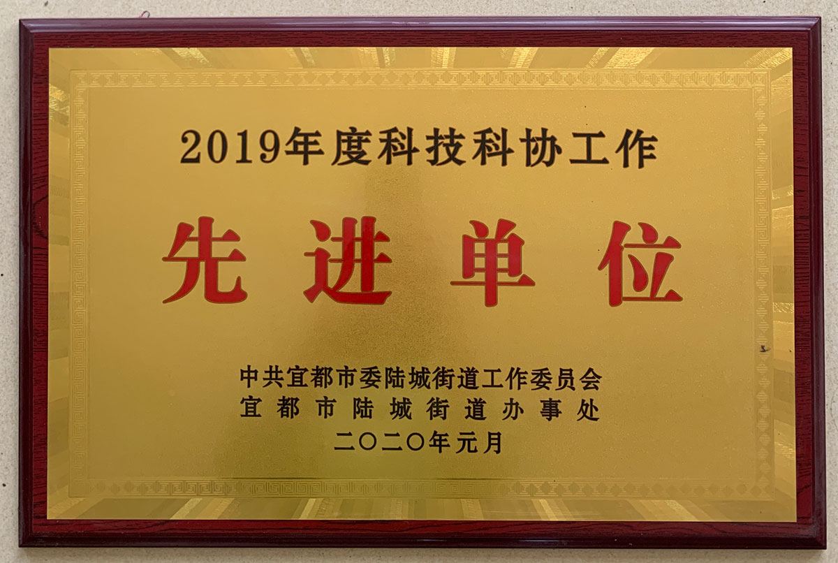 2019科技科協(xié)先進(jìn)單位.jpg